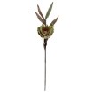 Garden Line Декоративная трава — 105 см, зелёная, TER3419 - Home Club, изображение 2