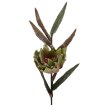 Garden Line Декоративная трава — 105 см, зелёная, TER3419 - Home Club, изображение 3