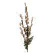 Garden Line Декоративная трава — 110 см, розовая, TER3402 - Home Club, изображение 3