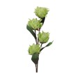 Garden Line Декоративный цветок — 88 см, зеленый, TER3327 - Home Club, изображение 3