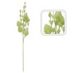 Garden Line Декоративная трава — 105 см, зелёная, TER3303 - Home Club