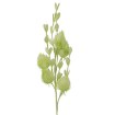 Garden Line Декоративная трава — 105 см, зелёная, TER3303 - Home Club, изображение 3