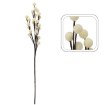 Garden Line Декоративная трава — шарики, 84 см, белые, TER3365 - Home Club
