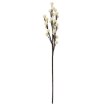 Garden Line Декоративная трава — шарики, 84 см, белые, TER3365 - Home Club, изображение 3