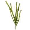 Garden Line Декоративная трава — 107 см, зелёная, TER3297 - Home Club, изображение 3