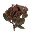 Garden Line Декоративная трава — 88 см, зелёная, TER3389 - Home Club, изображение 3