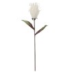 Garden Line Декоративный цветок — 76 см, белый, TER3167 - Home Club, изображение 2