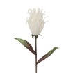 Garden Line Декоративный цветок — 76 см, белый, TER3167 - Home Club, изображение 3