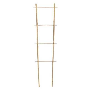 Garden Line Бамбуковая Лестница 120 См x 35 См x 10/12 Мм, BAM0579 - Home Club