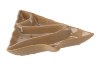 Chomik Фарфоровая тарелка 29,3 × 33,2 × 3,5 см с изображением елки «Winter Coffee», LIL6883 - Home Club, изображение 5