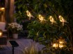 Garden Line Солнечная гирлянда для сада, длина 2 + 1,2 м, птицы с зажимом, 5 светодиодов, теплый белый свет., SOL6063 - Home Club, изображение 8