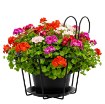 Chomik Подвесная подставка для цветочного горшка на перила 17 x 20 см, PERG-N6433 - Home Club, изображение 2