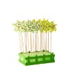 Garden Line Вентилятор В Жабки 9 x 27,5 См Белый/Желтый, AKI0551 - Home Club, изображение 7