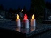 Chomik Світлодіодна Вставка 4,7 × 10,5 См, Різні Кольори, LED4256 - Home Club, Зображення 10