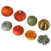 ИКЕА Декоративная тыква CUCURBITA, 906.293.79 - Home Club
