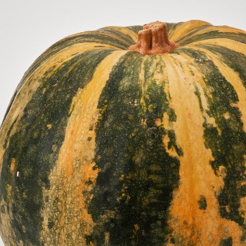 ИКЕА Декоративная тыква CUCURBITA, 906.293.79 - Home Club