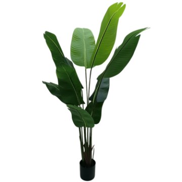 Garden Line Штучна рослина в горщику — бананове дерево, 150 см, PAM1894 - Home Club