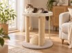 Chomik Когтеточка Для Кошки 40 x 40 x 44 См, Бежевая, PET1634 - Home Club, изображение 3