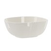 BackHome Living Прямокутна Фарфорова Салатниця 21,5 × 21 × 7 См, CAI1030 - Home Club, Зображення 2