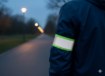 Chomik Світлодовідні Наліпки З Led-Лампочкою, CAM1045 - Home Club, Зображення 3