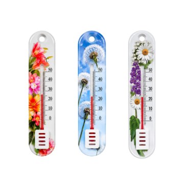 Garden Line Кімнатний Термометр 19 x 4,5 x 1 См, Різні Дизайни, MAK1847 - Home Club