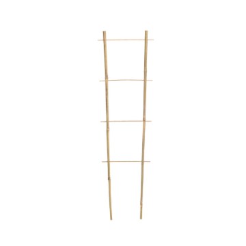 Garden Line Бамбукова Лісина 75 См x 35 См x 10/12 Мм, BAM0555 - Home Club