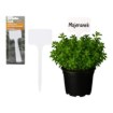 Garden Line 8 пластиковых табличек для описания растений, LAR9690 - Home Club, изображение 4