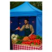 Garden Line Торговая палатка 3 х 3 м, синяя, NAM7458 - Home Club, изображение 16