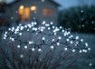 Chomik Светодиодные лампы Cherry Ball 200L холодный белый, длина 3 + 16 м, LED9973 - Home Club, изображение 6