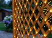 Chomik Светодиодная Сетка 256L Теплый Белый 2 x 2 М Внутренняя/Внешняя, LED1681 - Home Club, изображение 3