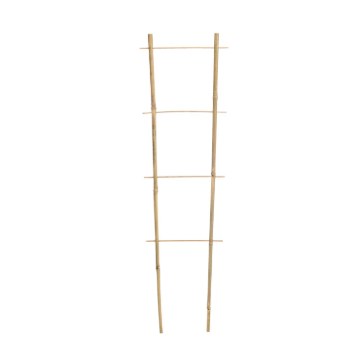Garden Line Бамбукова Драбина 90 См x 35 См x 10/12 Мм, BAM0562 - Home Club