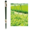 Garden Line Садова Рама 1,8 М, Діаметр 16 Мм, З Сіткою 1,8 Х 3,2 М, JAW9409 - Home Club, Зображення 3