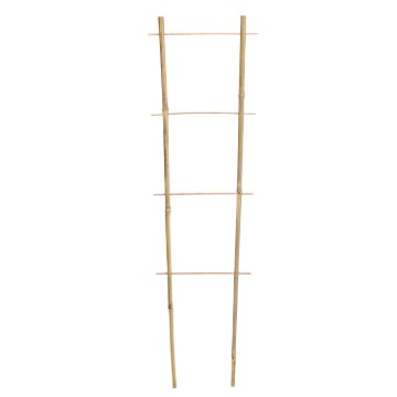 Garden Line Бамбукова Драбина 120 См x 35 См x 10/12 Мм, BAM0579 - Home Club
