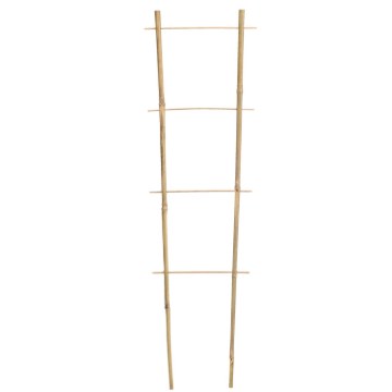 Garden Line Бамбуковая Лестница 120 См x 10/28 См x 10/12 Мм, BAM1664 - Home Club